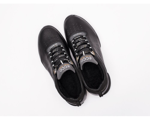 Кроссовки Ecco Biom