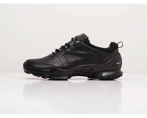 Кроссовки Ecco Biom